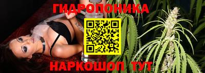 хмурый Рязань